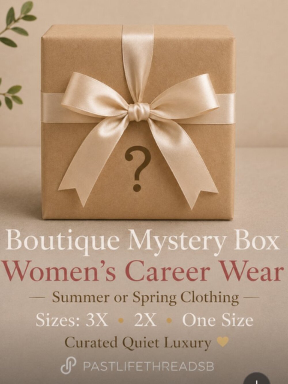 ✨ Boutique Women's Career Wear Mystery Box • Sizes 3X • 2X Up to 5 lbs ✨